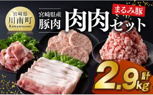 宮崎県産豚肉 「まるみ豚」 肉肉 セット 計2.9kg 【 肉 豚肉 国産 ミンチ ハンバ―グ こま切れ 弁当 おかず お手軽 真空パック 九州産 宮崎県産 川南町産 送料無料 】