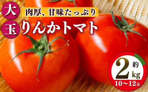トマト約2kg 10玉～12玉   | ヤサイ 野菜 やさい トマト とまと 野菜 奈良県 五條市