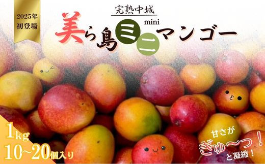 完熟沖縄ミニマンゴーご家庭用約1ｋｇ（10～20個入）2025年発送　沖縄 特産品 フルーツ 果物 デザート スイーツ おすすめ オススメ 贈り物 プレゼント お土産 お見舞い お中元 ギフト 数量限定