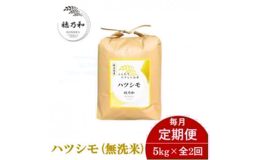＜発送月固定定期便＞＜先行予約＞岐阜県産ハツシモ(無洗米)5kg全2回【4068439】