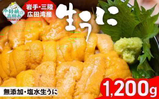 【発送開始！】【個数限定】 生うに 1200g (200g×6パック) 塩水パック 獲れたその日に出荷！ 【 ムラサキウニ 無添加 濃厚 天然 ミョウバン不使用 数量限定 三陸産 】 RT1627