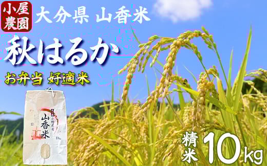 [ 新米 先行予約 ]小屋農園の米 10kg (精米:秋はるか 精米10kg)[159-022]