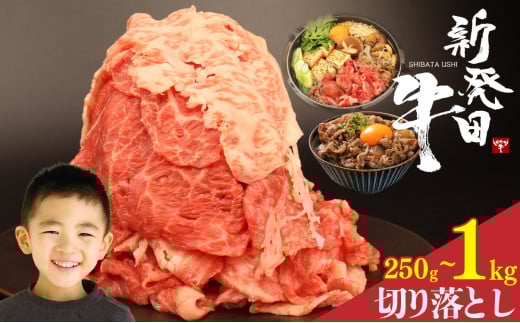 牛肉 切り落とし 250g 500g 1kg 肉 和牛 霜降り ブランド牛 新発田牛 にいがた和牛 しゃぶしゃぶ 小分け 小間切れ 新潟県 新発田市 新潟 新発田 アルビレックス アルビレックス新潟 近江牛 神戸牛 松阪牛 米沢牛 三大和牛 に負けない えのもとミート enomoto001P