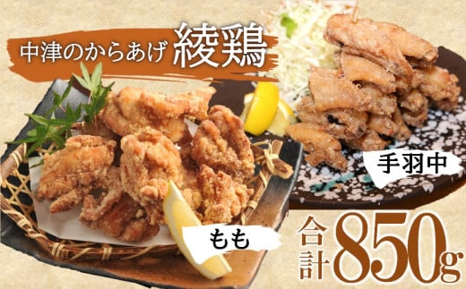 中津のからあげ 綾鶏 もも500g ・手羽中350g (合計850g) | お肉 肉 おにく にく 鶏肉 鶏 もも モモ モモ肉 家庭調理 中津からあげ 唐揚げ からあげ から揚げ 弁当 おかず お惣菜 おつまみ 大分県 中津市 258945 - 大分県中津市