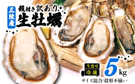 訳あり 数量限定 生産調整品 牡蠣 5kg (生食可) かき カキ 冷凍 岩手県産 殻付き 生食 生食用 訳あり わけあり 大きさ不揃い 不揃い 三陸 三陸産 株式会社國洋 岩手県 大船渡市