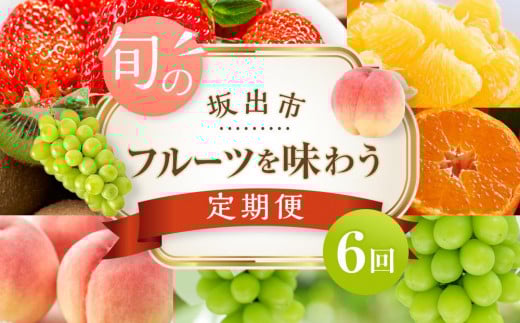 坂出市「旬のフルーツを味わう6回」定期便 【発送月：2月・4月・7月・9月・11月・12月】 1074092 - 香川県坂出市