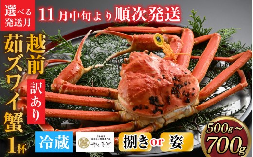 【先行予約】[捌き済選択可][到着日指定可]【訳あり】蟹好きが唸る老舗カニ料理店の越前茹ズワイ蟹 小サイズ(500g～700g)1杯【11月中旬より順次発送】 [F-085040] 1053379 - 福井県福井市