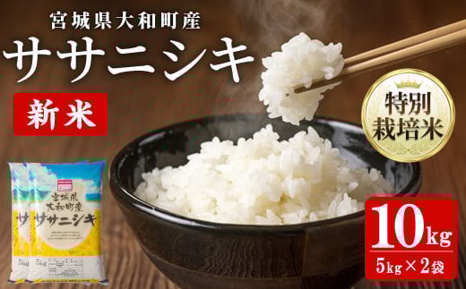 【令和7年産 新米】特別栽培米 ササニシキ 10kg お米 おこめ 米 コメ 白米 ご飯 ごはん おにぎり お弁当【農事組合法人若木の里】ta534 691811 - 宮城県大和町