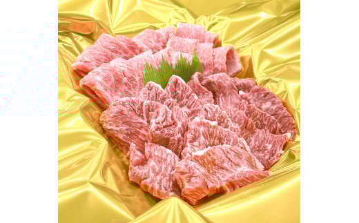 松阪牛 焼肉 スペシャル 特選カルビ ハラミ 500g(250g×2) 国産牛 和牛 ブランド牛 JGAP家畜・畜産物 農場HACCP認証農場 牛肉 肉 高級 人気 おすすめ 神戸牛 近江牛 に並ぶ 日本三大和牛 松阪 松坂牛 松坂 焼肉物語 セット 詰め合わせ BBQ キャンプ 真空パック 味噌だれ 三重県 多気町 SS-49