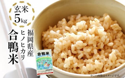 令和7年産 新米予約 合鴨米「ヒノヒカリ」(玄米・5kg)