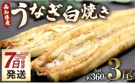 うなぎ屋きた本 うなぎ白焼き120g 3尾セット(無頭) 7日程度 un-0018