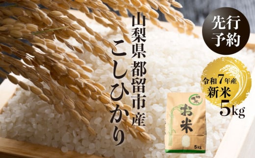 【令和７年産新米・予約】山梨県都留市産こしひかり[5kg]