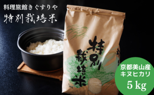 [№5334-0546]【先行予約】料理旅館きぐすりや　令和7年産 　特別栽培米キヌヒカリ 5kg 2148005 - 京都府南丹市