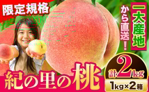 【チョイス限定】おすそ分けにも！ 桃 もも～とろける甘さ～ 紀の里の桃 計2kg入り 1kg×2箱《2025年6月中旬-8月中旬頃出荷》桃 2025年 先行予約2025 もも2025 白鳳 日川白鳳 八旗白鳳 清水白桃 川中島白桃 つきあかり