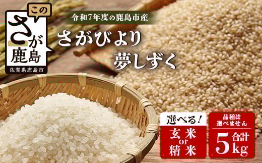 【予約受付】令和7年産 鹿島市産 [さがびよりor夢しずく] 5kg 1袋 【品種指定不可】 玄米 精米 10月初旬から発送開始予定　C-154
