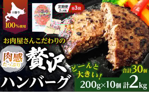 [大人気ハンバーグの定期便] 全3回/2ヶ月毎 合計30個 北海道 十勝牛 手ごねハンバーグ 200g×10個【 セット 牛100% 国産牛 牛肉 ハンバーグ パティ パテ 惣菜 小分け 冷凍 大きい 国産 北海道 十勝 幕別 ふるさと納税 送料無料 】[№5749-1729]