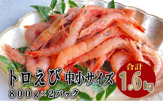 トロ えび 冷凍 海老 中 小 サイズ 1.6kg 800g 2パック お刺身 駿河湾 エビチリ エビ餃子