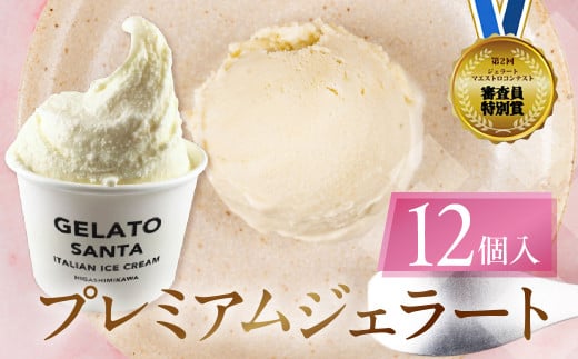 ジェラートマエストロコンテスト受賞＆プレミアムジェラート　12個入 2140937 - 愛知県豊橋市