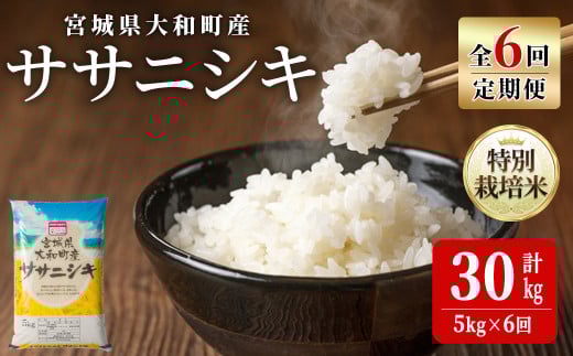 【令和7年産】＜6か月定期便＞特別栽培米 ササニシキ 5kg×6回(合計30kg) お米 おこめ 米 コメ 白米 ご飯 ごはん おにぎり お弁当 頒布会【農事組合法人若木の里】ta545 691820 - 宮城県大和町