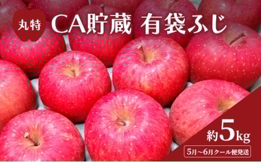 [№5554-0295]5月～6月 クール便発送 丸特 CA貯蔵 有袋ふじ 約 5kg アイスBOXクール便 りんご リンゴ 林檎 果物 フルーツ 青森