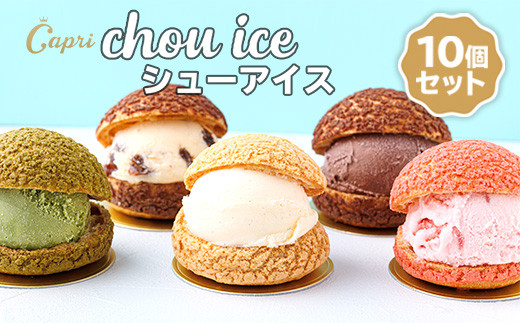 シューアイス GIFT BOX 10個セット　シュークリーム チョコ バニラ アイス お菓子 個包装 おやつ デザート スイーツ かわいい スウィーツ 洋菓子 小分け 一人暮らし 大人気 お取り寄せグルメ 人気 冷凍配送 送料無料 母の日 父の日 贈り物 プレゼント