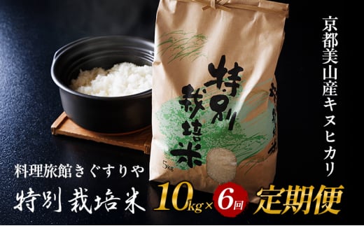 [№5334-0548]【先行予約】定期便 6回　料理旅館きぐすりや　令和7年産 　特別栽培米キヌヒカリ 10kg 2148007 - 京都府南丹市