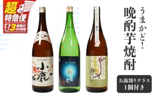 【超特急便】1086 うまかど!晩酌芋焼酎 KN042-010 1021353 - 鹿児島県鹿屋市