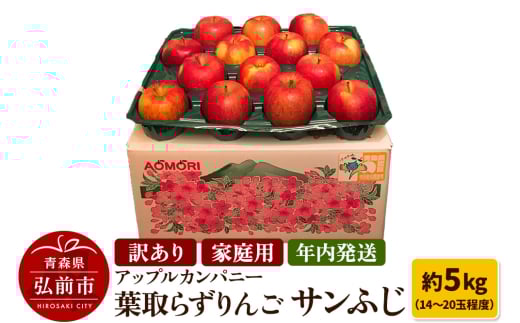 【25年12月発送】りんご 訳あり家庭用【年内発送】葉取らず サンふじ 約5kg（14～20玉程度）青森県特別栽培農産物認証農園 893692 - 青森県弘前市