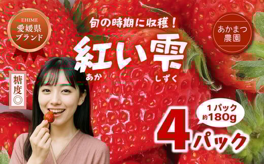 【2026年春収穫分】【先行予約】紅い雫 4パック（約720g） | いちご イチゴ 苺 大福 ジャム タルト アイス ケーキ ギフト あかまつ農園 ※離島への配送不可 ※2026年2月中旬から順次発送予定
