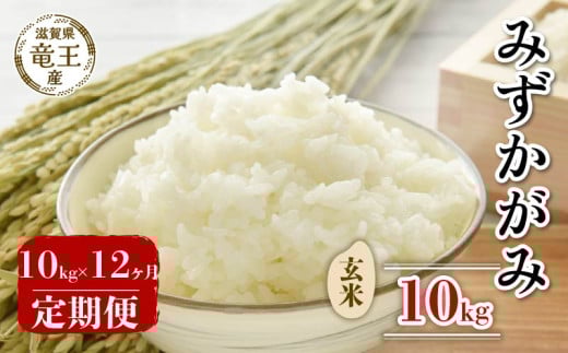 【 先行予約 】 令和7年産 新米 予約 みずかがみ 玄米 10kg 定期便 12ヶ月 みずかがみ 定期 12か月  10kg × 12回 計 120kg 米 滋賀県 竜王町 国産 農家直送 特別栽培米 ミズカガミ  2025年産 国産 農家直送 環境こだわり お米 こめ おこめ 産地直送 送料無料 滋賀県 竜王町 ふるさと納税