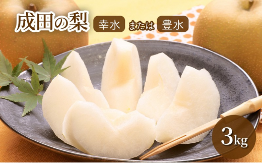 [№5904-0561]梨 【日時指定不可】 梨（幸水または豊水）3kg フルーツ 果物 なし 先行予約 特産品 旬のフルーツ 千葉県 成田市	 1387356 - 千葉県成田市