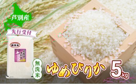 【 先行受付 】米 ゆめぴりか 無洗米 5kg 白米 精米 産地直送 お米 単一原料米 ブランド米 特A米 特A 5キロ 北海道米 北海道産 ご飯 ごはん こめ コメ おこめ 送料無料 令和7年産 北海道 芦別 芦別市[№5342-0740]