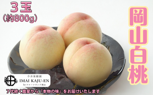 白桃 3玉 約800g 岡山県産 【先行予約 2025年7月上旬から順次発送】