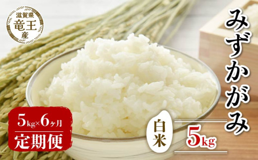 【 先行予約 】 令和7年産 新米 予約 みずかがみ 白米 5kg 定期便 6ヶ月 みずかがみ 定期 6か月 5kg × 6回 計 30kg 米 滋賀県 竜王町 国産 農家直送 特別栽培米 ミズカガミ 2025年産 国産 農家直送 環境こだわり お米 こめ おこめ 産地直送 送料無料 滋賀県 竜王町 ふるさと納税 2150871 - 滋賀県竜王町
