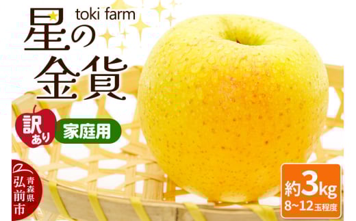 【25年10月～発送】りんご 星の金貨 約3kg（8～12玉程度）【訳あり】家庭用 toki farm 1336460 - 青森県弘前市