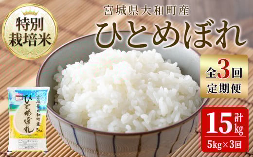 【令和7年産】＜3か月定期便＞特別栽培米 ひとめぼれ 5kg×3回(合計15kg) お米 おこめ 米 コメ 白米 ご飯 ごはん おにぎり お弁当 頒布会【農事組合法人若木の里】ta539 691813 - 宮城県大和町