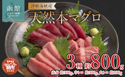 セレクト朝市「津軽海峡産天然本まぐろ」(赤身 約300g、中トロ 約300g、大トロ 約200g)_HD009-034 1920701 - 北海道函館市