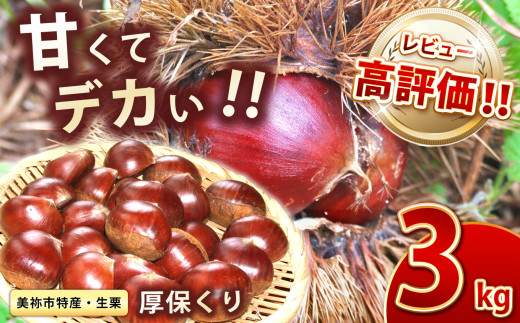 【先行予約】甘くて デカい ! 厚保くり ( 生栗 ) 3kg 山口美祢産 先行予約 ＜2025年10月上旬 ～ 11月中旬 に発送予定＞ 2Ｌサイズ ｜  山口 美祢 栗 くり 厚保 大きい 甘い 大玉 特産品 焼き栗 栗ご飯 生栗 期間限定 季節限定 先行予約 3kg  260437 - 山口県美祢市