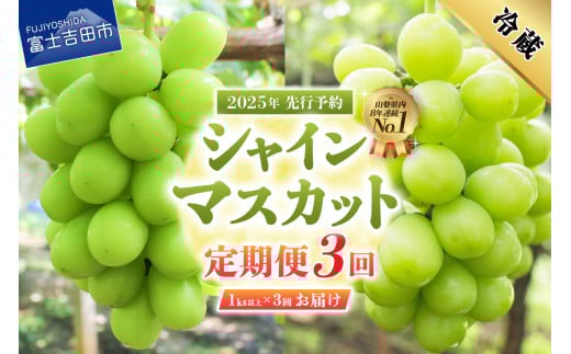 【2025年先行予約】【3回定期便】ジューシーで甘さ抜群 厳選シャインマスカット1kg以上×3回配送 シャインマスカット ぶどう 果物 フルーツ 旬 山梨県 2025年 先行予約 山梨 富士吉田市