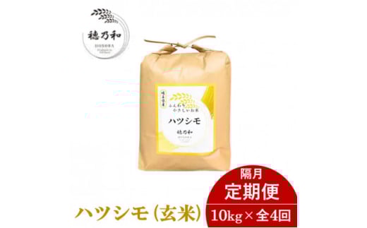 ＜発送月固定定期便＞＜先行予約＞岐阜県産ハツシモ(玄米)10kg＜隔月定期便＞全4回【4068426】 2149757 - 岐阜県羽島市