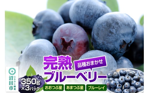 《7月中旬～8月上旬発送》品種おまかせ 完熟ブルーベリー 350g×3パック 林ブルーベリー園