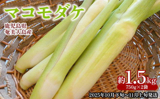 【2025年発送】奄美大島産 マコモダケ 約1.5kg（750g×2袋） 鹿児島県 奄美群島 奄美大島 龍郷町 奄美産 青果 野菜 マコモ マコモタケ マコモズミ 食物繊維 鉄分 カリウム 葉酸 低カロリー 天ぷら 炒め物 お取り寄せ 農家直送 小分け