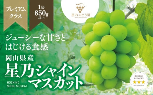 ＜三つ星ブランド＞星乃シャインマスカット プレミアムクラス(岡山県産) 1房×850g以上_ ぶどう 葡萄 ブドウ 果物 フルーツ くだもの 岡山県 津山市 人気 おすすめ 送料無料 贈答 ギフト 【1418920】 976985 - 岡山県津山市