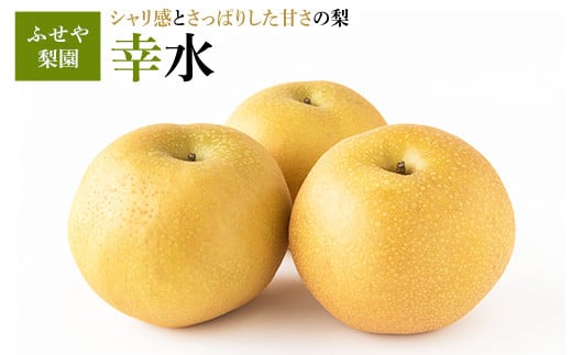 幸水 5kg 【ふせや梨園】| 農家直送 梨 ナシ 果物 フルーツ 宇都宮市 栃木県 ※2025年8月下旬頃より順次発送予定