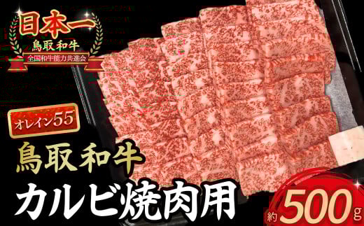 鳥取和牛オレイン55 カルビ 焼肉用（500g） 国産 牛肉 和牛 黒毛和牛 焼肉 BBQ カルビ 和牛カルビ 高級カルビ