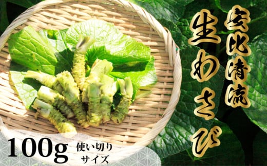 岩手県産 生わさび 使い切りサイズ 100g 【安比清流山葵園】 ／ 山葵 ワサビ わさび 薬味 国産 八幡平市産 産地直送 新鮮 調味料 刺身 ステーキ お肉 蕎麦 和え物 漬け物 刻み おろし 辛味 和食 お寿司 そば 肉の薬味 魚の薬味 そばの薬味 料理 自宅用 家庭用 おすすめ オススメ 688251 - 岩手県八幡平市