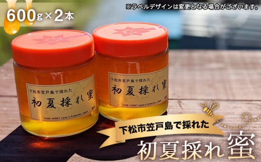 No.069 下松市笠戸島で採れた初夏採れ蜜 / 蜂蜜 はちみつ ハニー 非加熱 無添加 天然 山口県 特産品 779384 - 山口県下松市