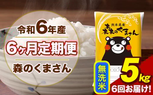 令和6年産 森のくまさん 無洗米 5kg 5kg×1袋 計6回お届け 《お申し込み月の翌月から出荷開始》 お米 こめ 熊本県産 ご飯 備蓄