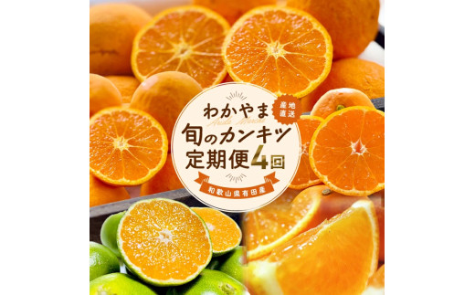 和歌山 旬のカンキツ定期便L (ご家庭用) ※北海道・沖縄・離島への配送不可 / 定期便 青切り有田みかん 完熟有田みかん 春の柑橘 初夏の柑橘 全4回 フルーツ 2150148 - 和歌山県広川町