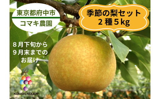 【コマキ農園】季節の梨セット（2種・5kg)